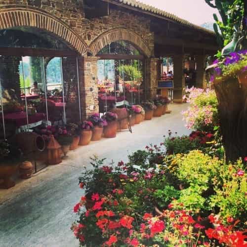 Restaurant by de haven-Mooie bloemen