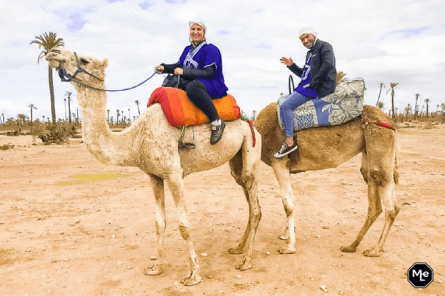 kameel rijden in de palmerie marokko
