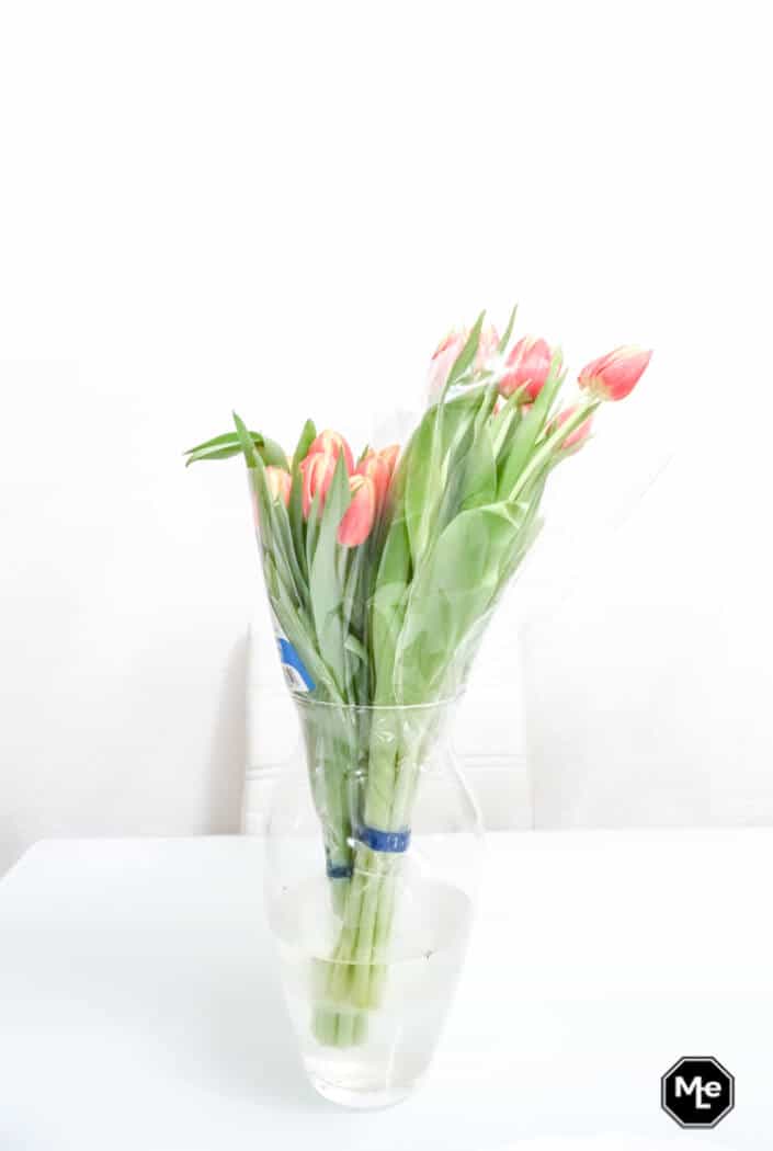 DIY Pasen- Tulpen