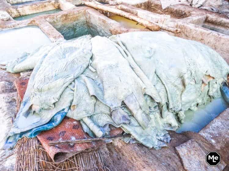 Marrakech travel report