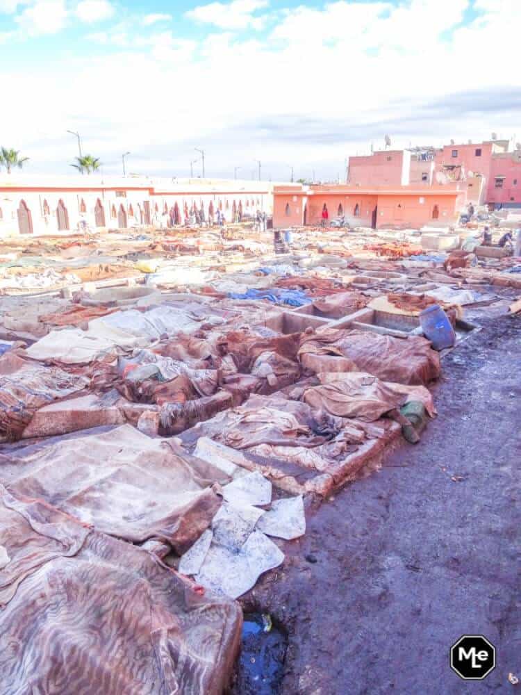 Marrakech travel report