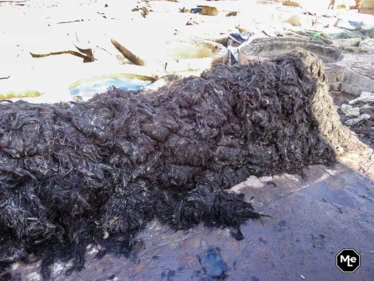 Marrakech travel report