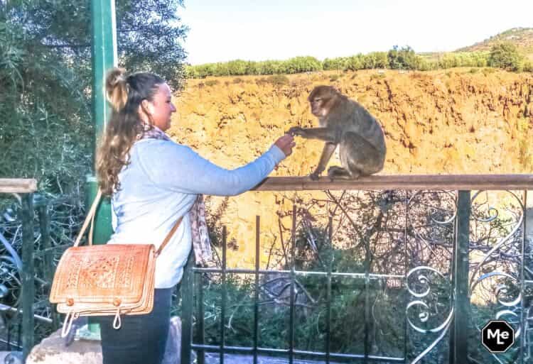 Marrakech travel report