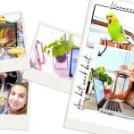 Weekly snaps woensdag