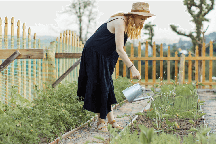 voordelen van grind in de tuin