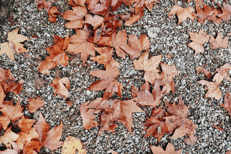 grind is onderhouds erhoudsarm. af en toe bladeren weg halen.