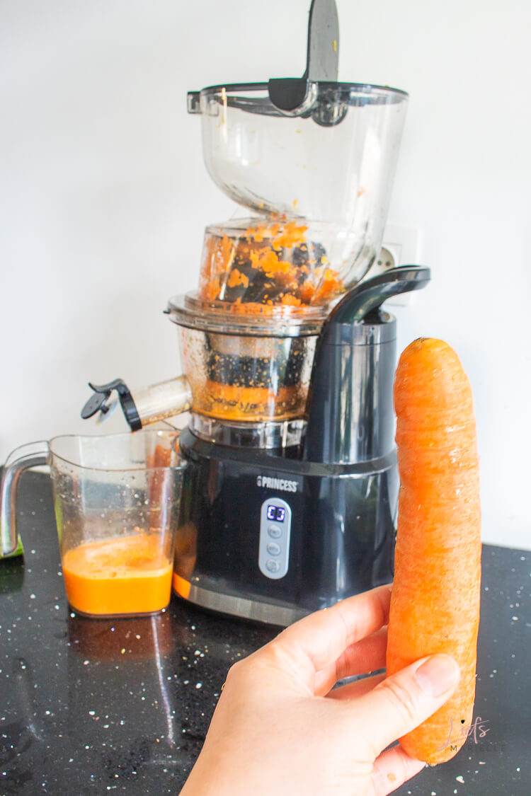 Princess Easy Fill Slowjuicer review