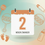 2 weken zwanger