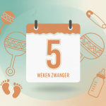 5 weken zwanger